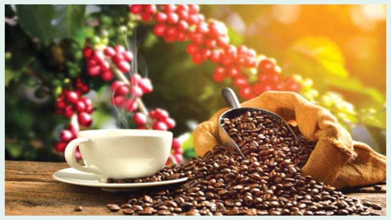 Global Forces Sending Coffee Prices Skyward