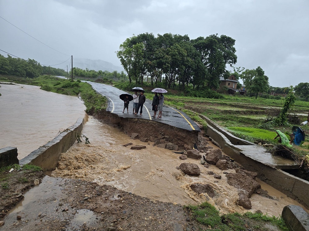 Natural Disasters Cause $310 Billion in Global Economic Losses in 2024